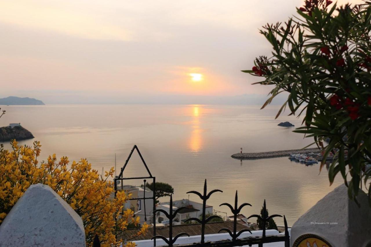 Villa Isabella Ponza Dış mekan fotoğraf